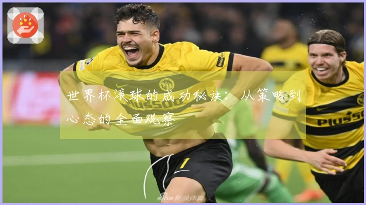世界杯滚球的成功秘诀：从策略到心态的全面观察