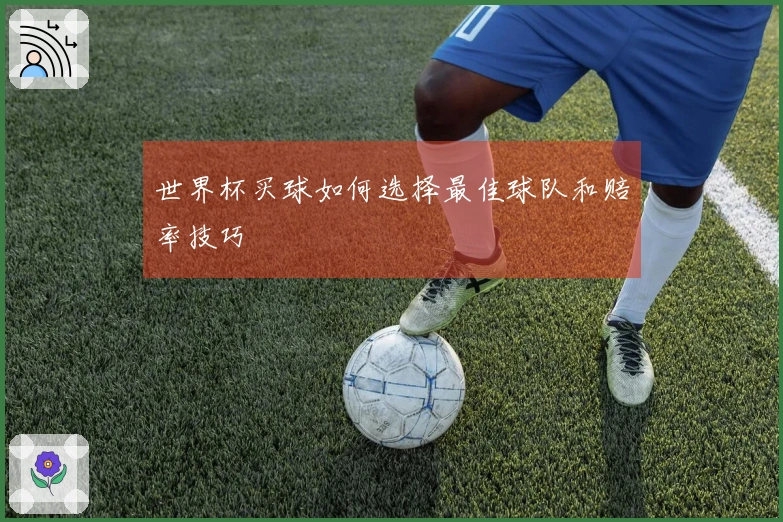 世界杯买球如何选择最佳球队和赔率技巧