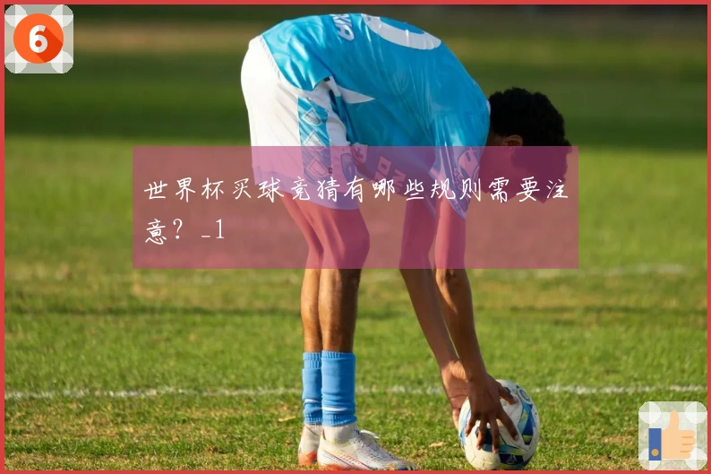 世界杯买球竞猜有哪些规则需要注意？_1