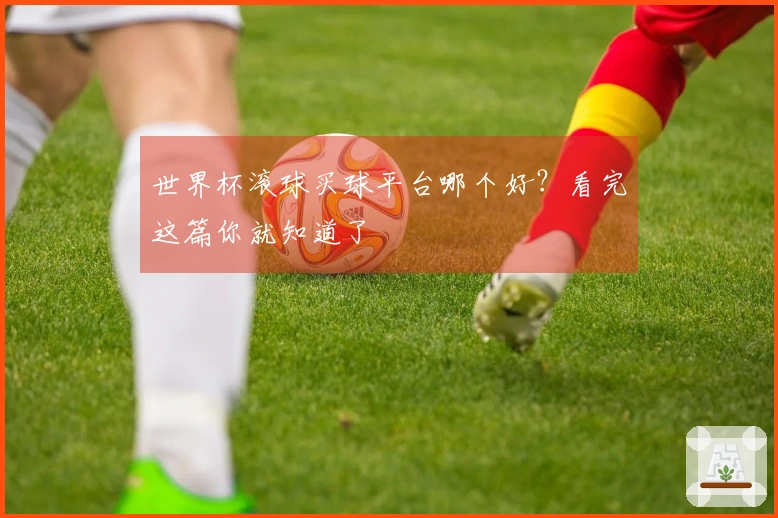 世界杯滚球买球平台哪个好？看完这篇你就知道了