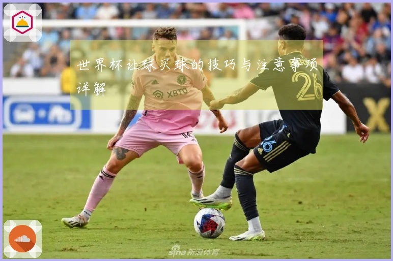 世界杯让球买球的技巧与注意事项详解