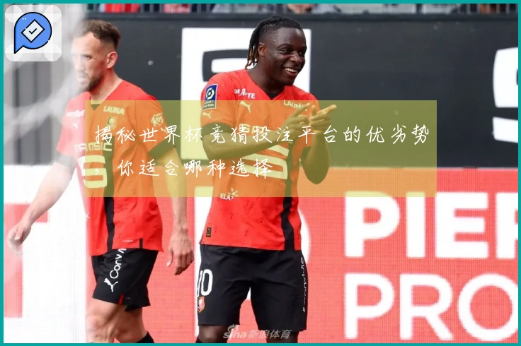 揭秘世界杯竞猜投注平台的优劣势，你适合哪种选择