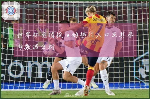 世界杯竞猜投注的热门入口及其参与数据分析