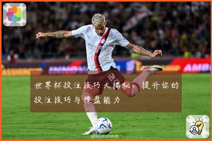世界杯投注技巧大揭秘，提升你的投注技巧与操盘能力