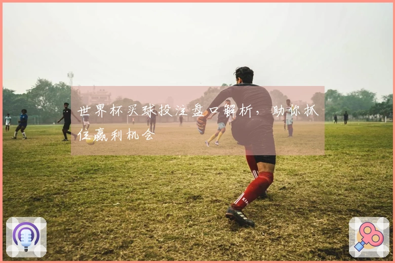世界杯买球投注盘口解析，助你抓住赢利机会