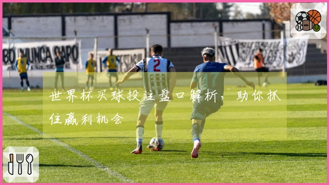 世界杯买球投注盘口解析，助你抓住赢利机会