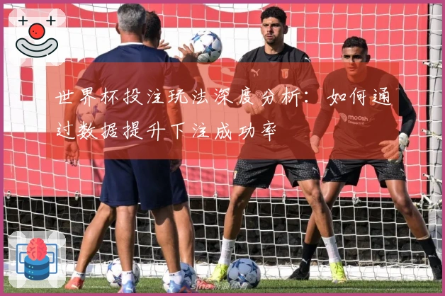 世界杯投注玩法深度分析：如何通过数据提升下注成功率