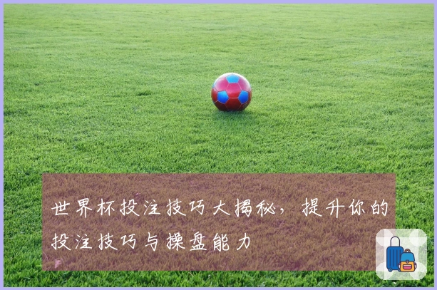 世界杯投注技巧大揭秘，提升你的投注技巧与操盘能力