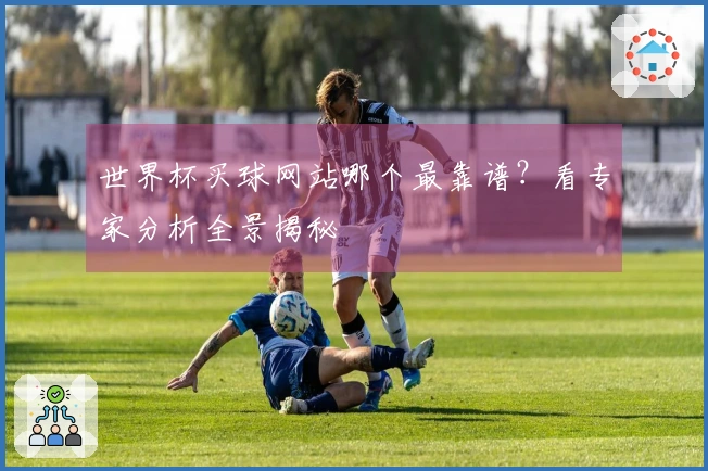 世界杯买球网站哪个最靠谱？看专家分析全景揭秘